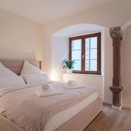 Neues Design-Apartment, Altstadt, Business&Ferien, Kueche, Netflix Bad Säckingen Zewnętrze zdjęcie