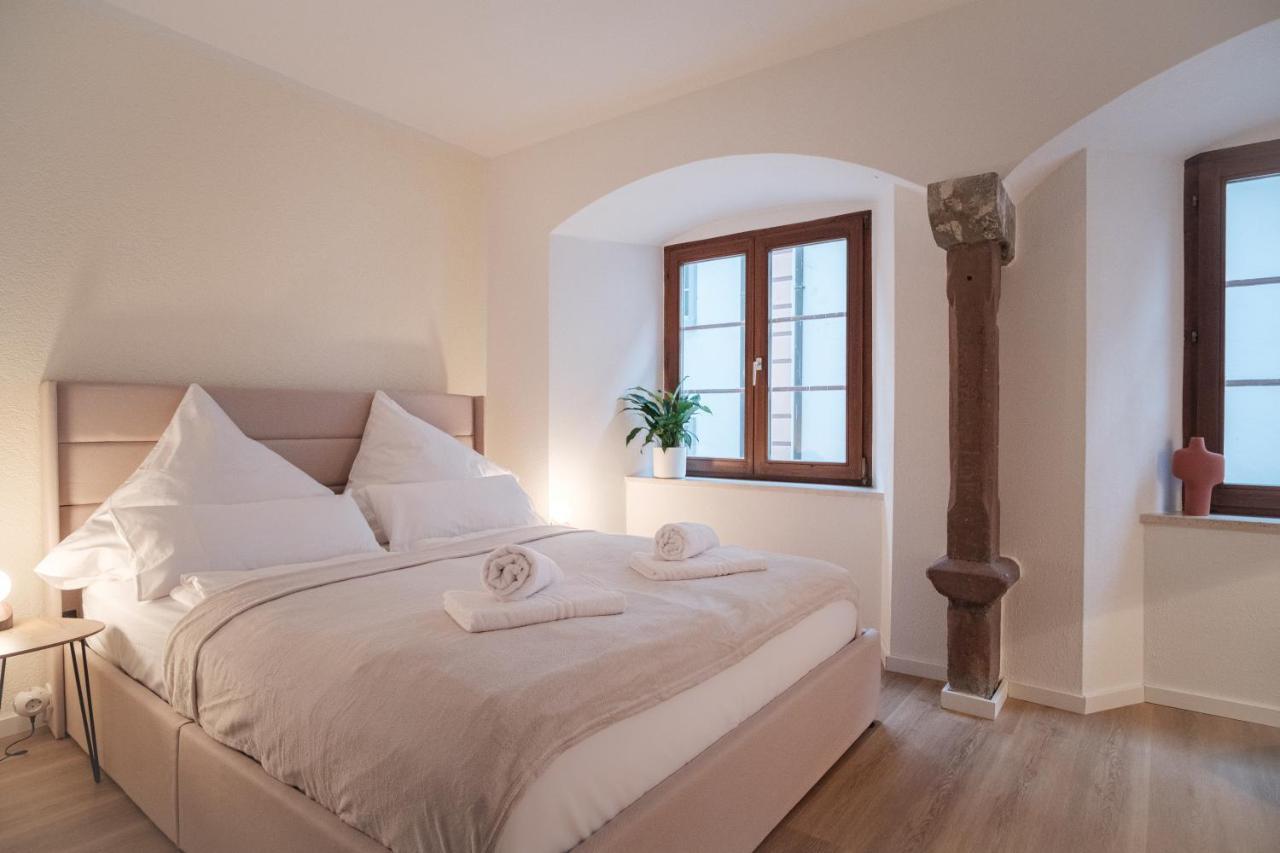 Neues Design-Apartment, Altstadt, Business&Ferien, Kueche, Netflix Bad Säckingen Zewnętrze zdjęcie