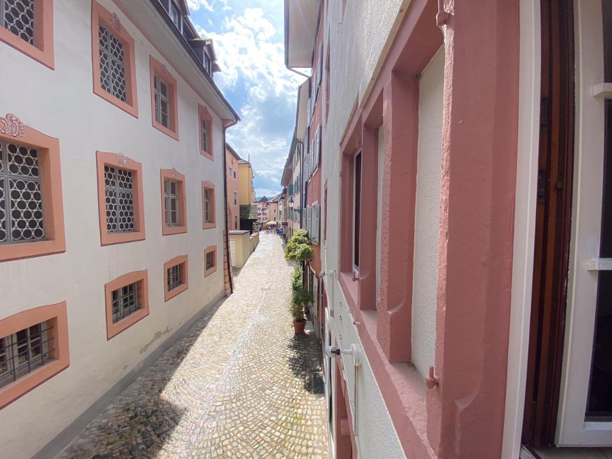 Neues Design-Apartment, Altstadt, Business&Ferien, Kueche, Netflix Bad Säckingen Zewnętrze zdjęcie